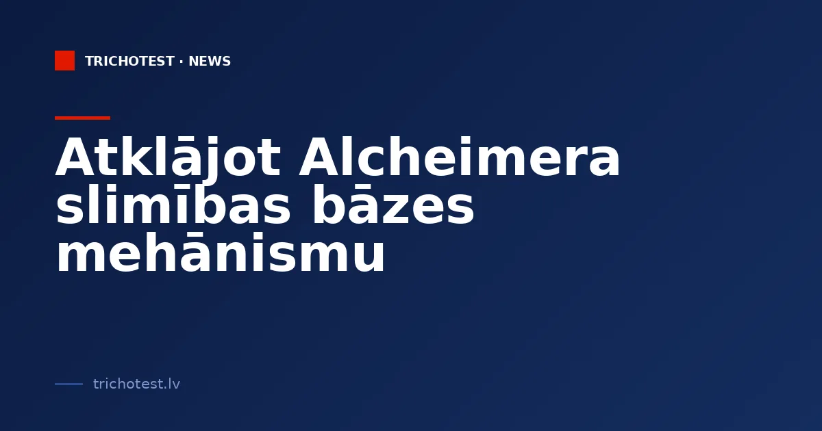 Uncovering the Underlying Mechanism of Alzheimer's Disease