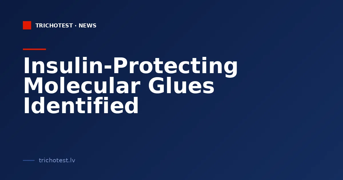 Insulin-Protecting Molecular Glues Identified