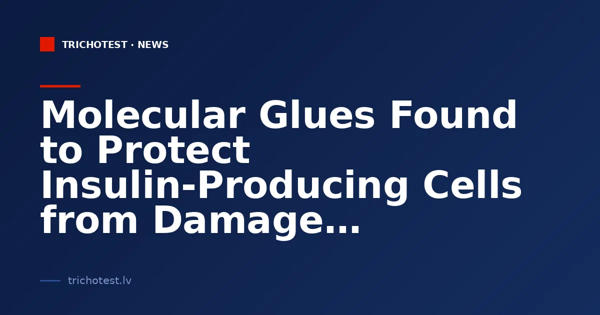 Molecular Glues Found to Protect Insulin-Producing Cells from Damage
