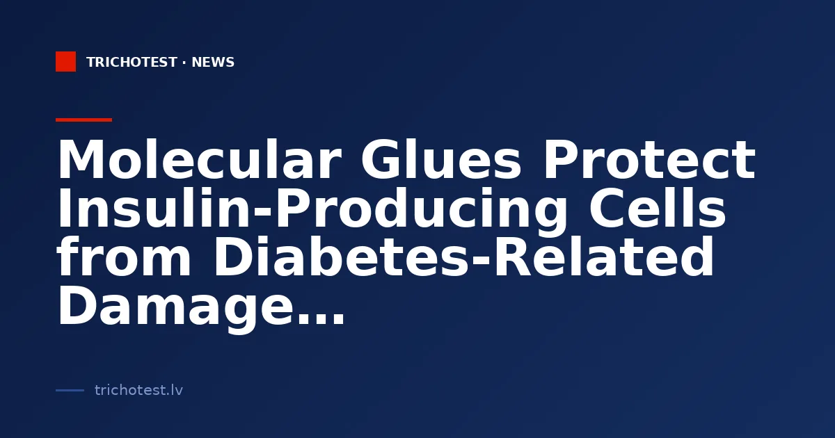 Molecular Glues Protect Insulin-Producing Cells from Diabetes-Related Damage