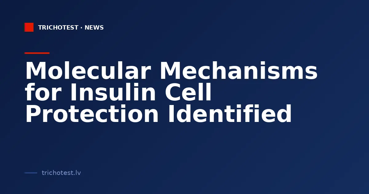 Molecular Mechanisms for Insulin Cell Protection Identified