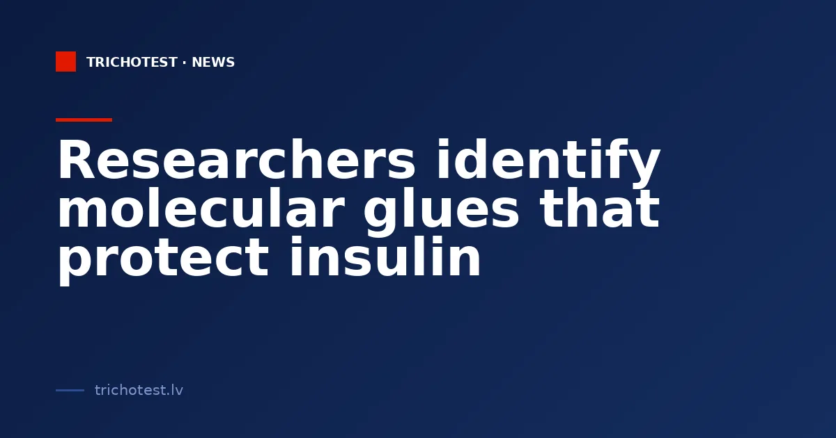 Researchers identify molecular glues that protect insulin