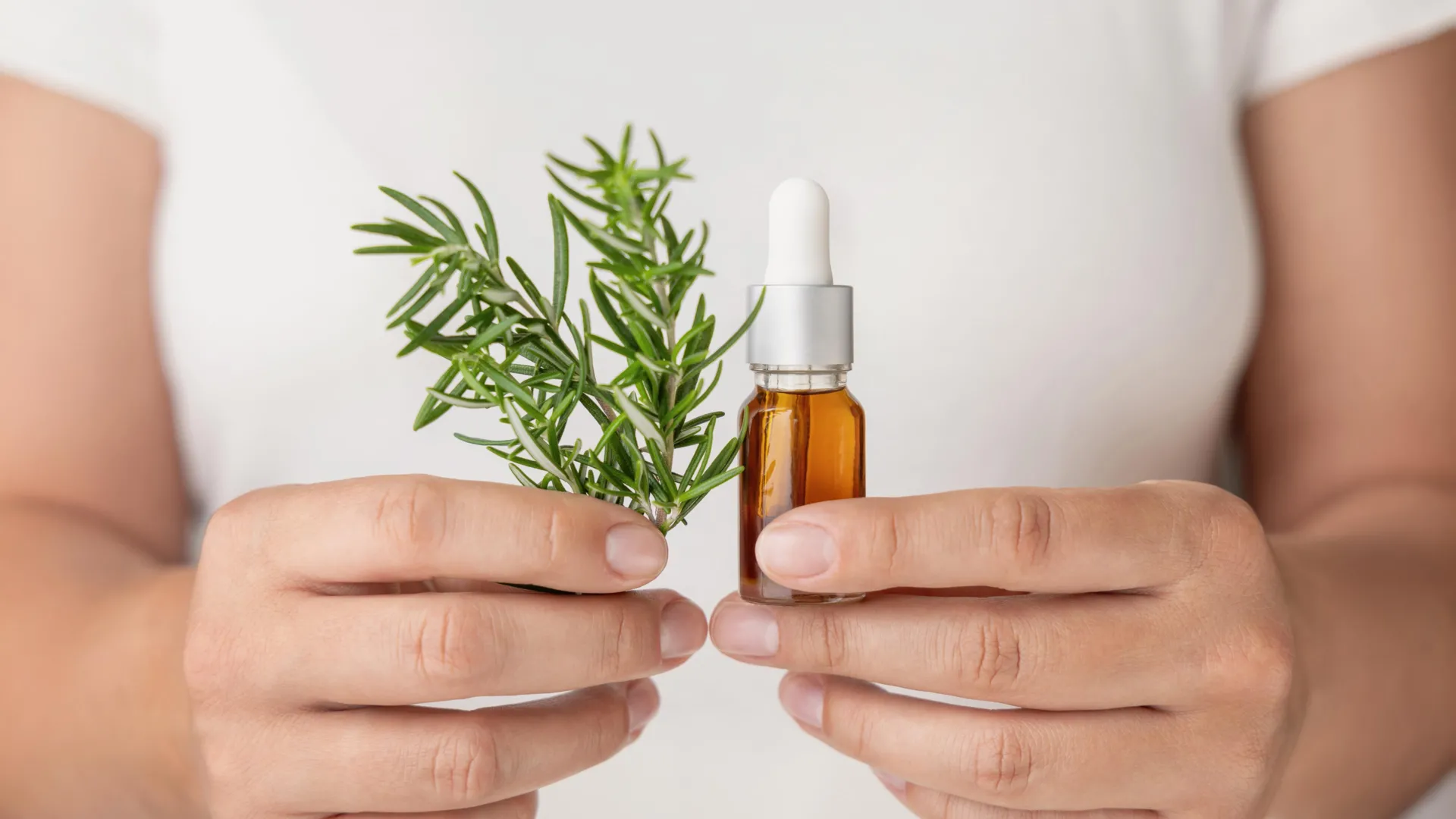 Rosemary Extract Shows Promise in Skincare Research