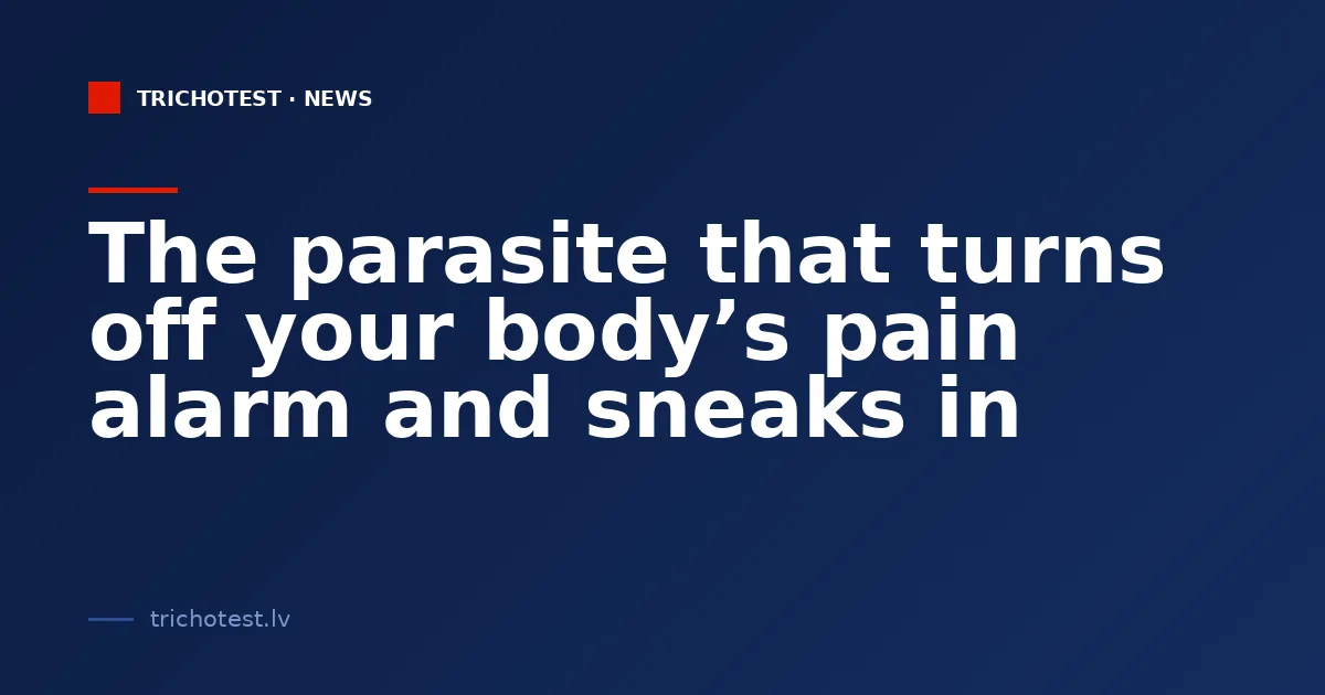 The parasite that turns off your body’s pain alarm and sneaks in