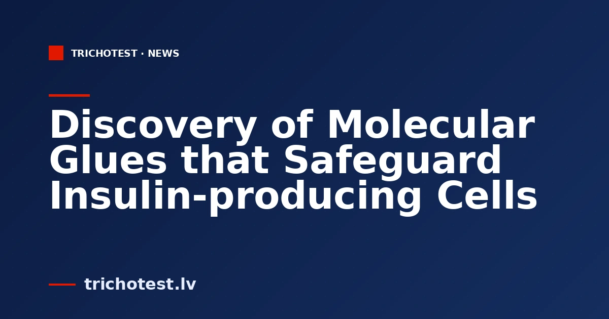 Discovery of Molecular Glues that Safeguard Insulin-producing Cells