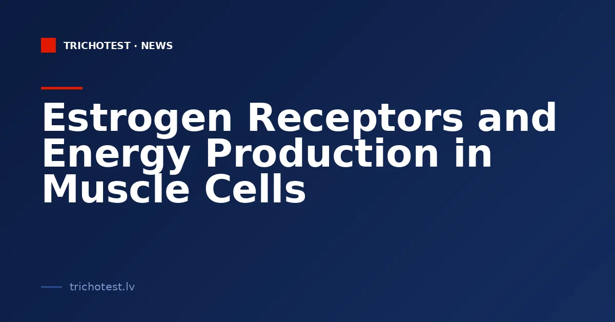 Estrogen Receptors and Energy Production in Muscle Cells