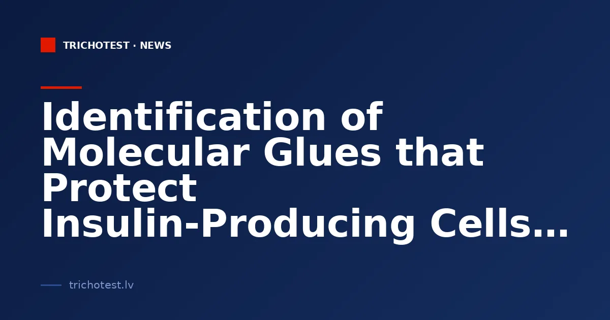 Identification of Molecular Glues that Protect Insulin-Producing Cells