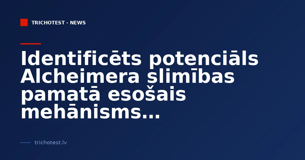 A Potential Underlying Mechanism of Alzheimer's Disease Identified
