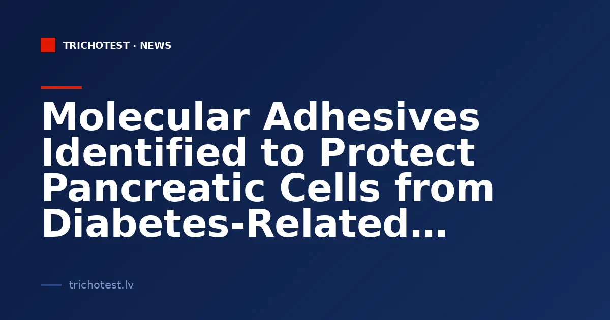 Molecular Adhesives Identified to Protect Pancreatic Cells from Diabetes-Related Damage