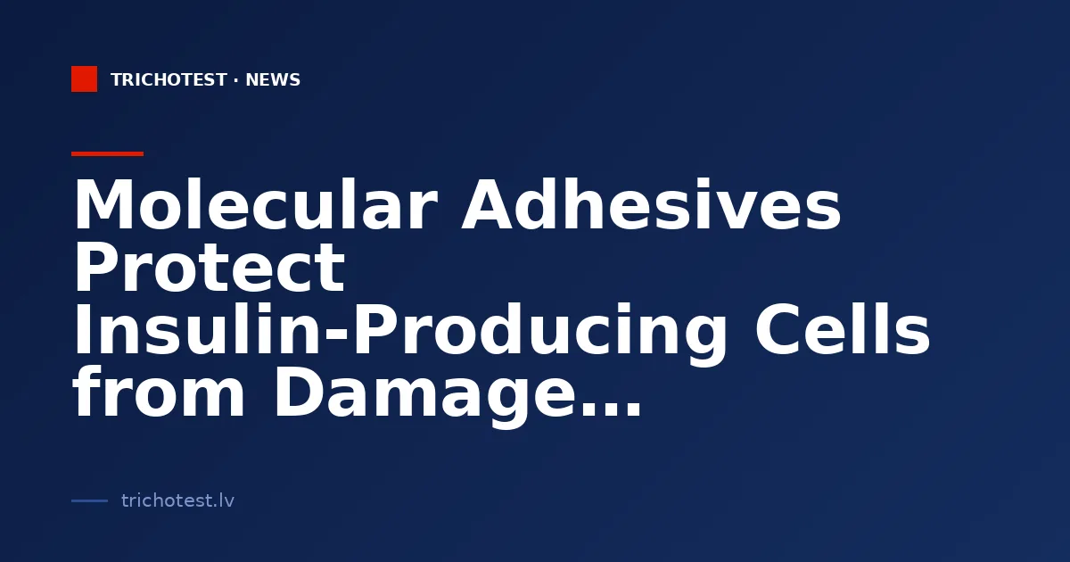 Molecular Adhesives Protect Insulin-Producing Cells from Damage