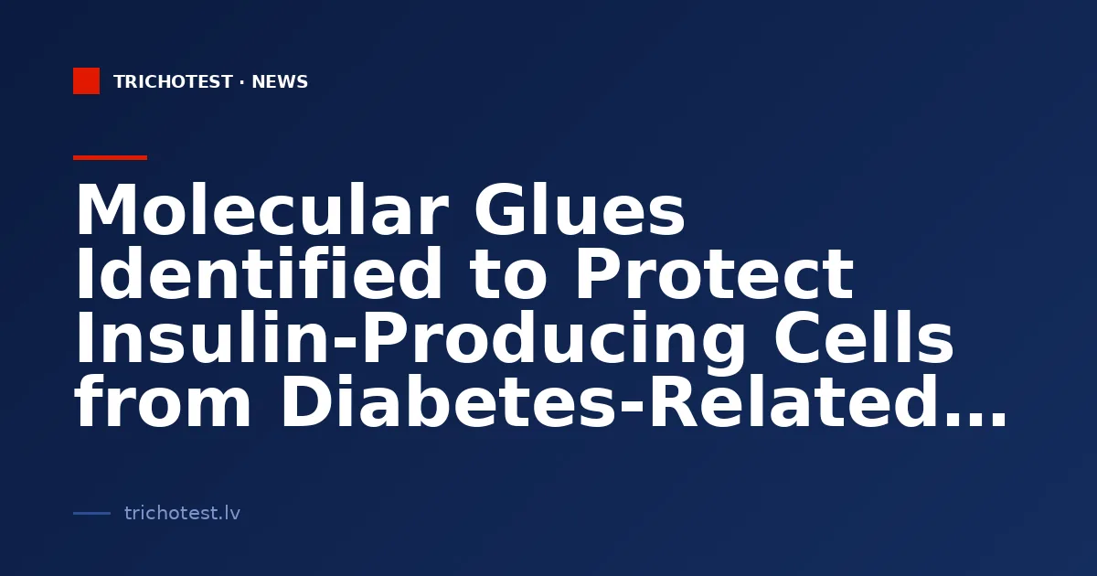 Molecular Glues Identified to Protect Insulin-Producing Cells from Diabetes-Related Damage