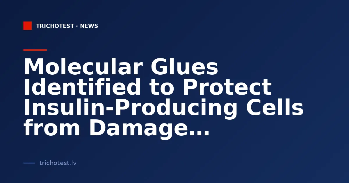 Molecular Glues Identified to Protect Insulin-Producing Cells from Damage