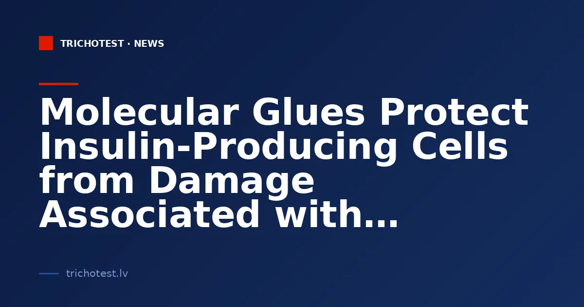 Molecular Glues Protect Insulin-Producing Cells from Damage Associated with Diabetes