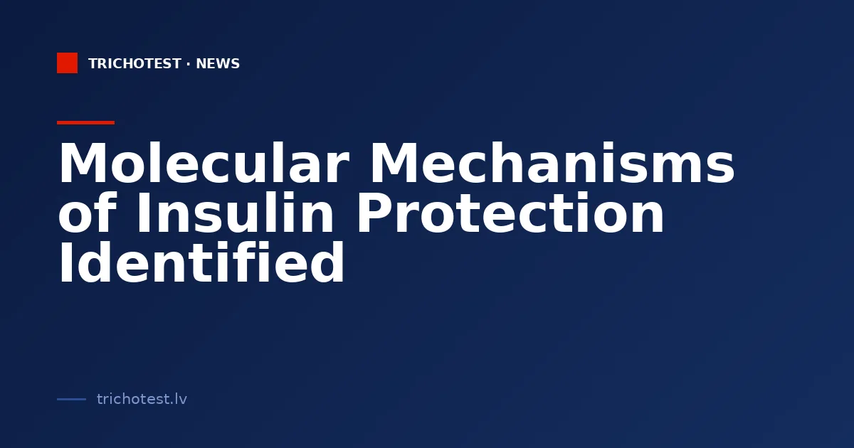 Molecular Mechanisms of Insulin Protection Identified