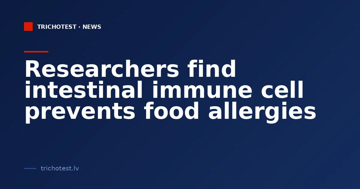 Researchers find intestinal immune cell prevents food allergies