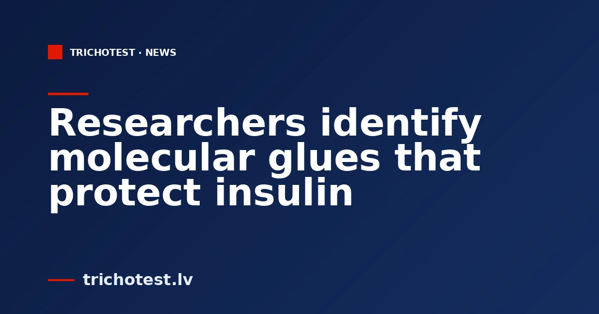 Researchers identify molecular glues that protect insulin